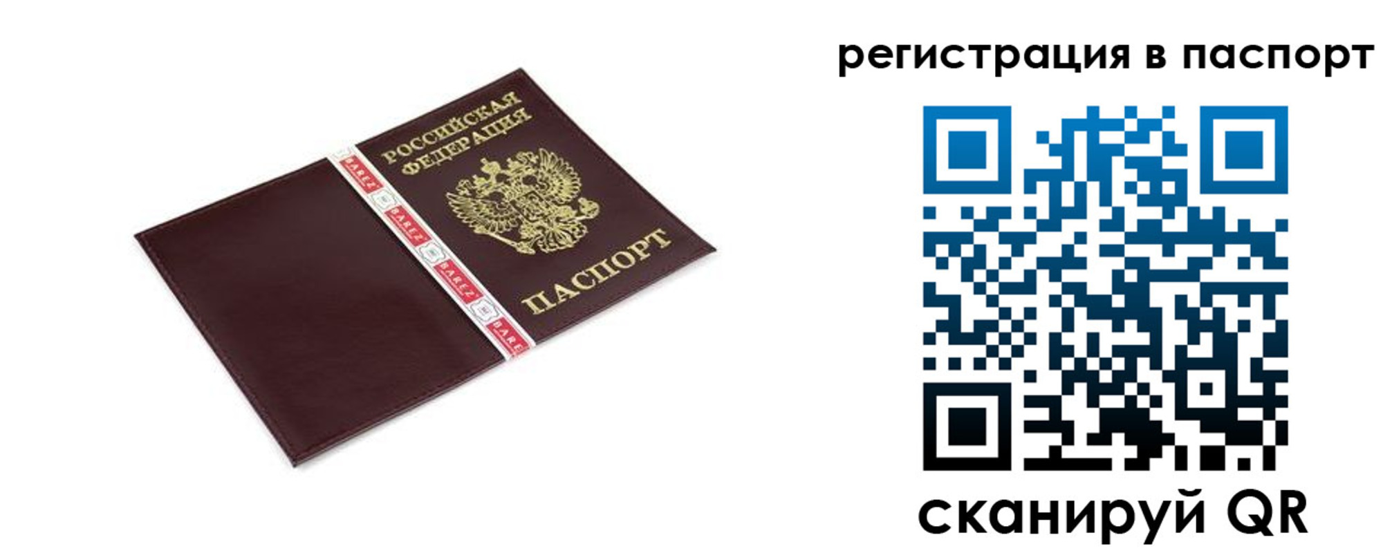 пропишу в квартире в Курске